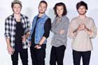 Concert One Direction